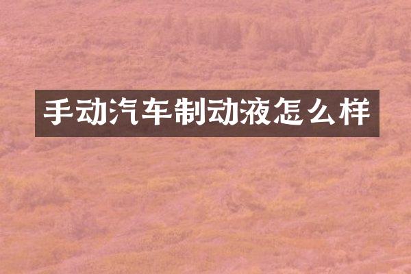 手动汽车制动液怎么样
