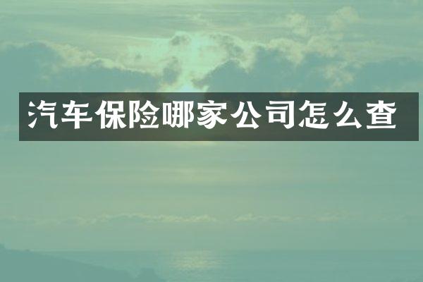 汽车保险哪家公司怎么查