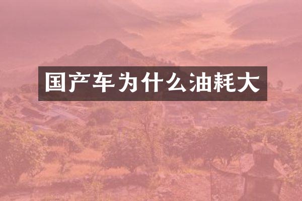国产车为什么油耗大