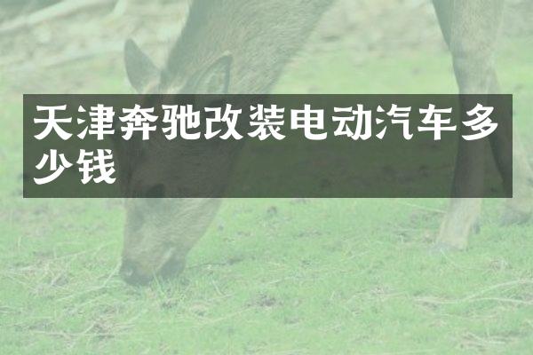 天津奔驰改装电动汽车多少钱