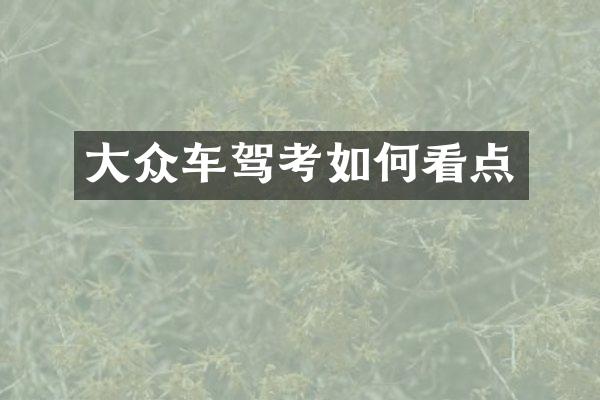 大众车驾考如何看点