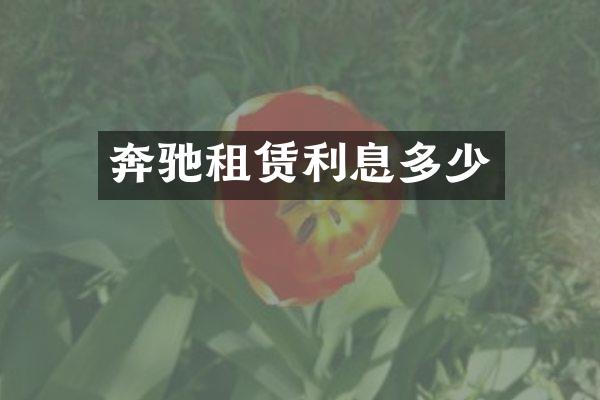 奔驰租赁利息多少