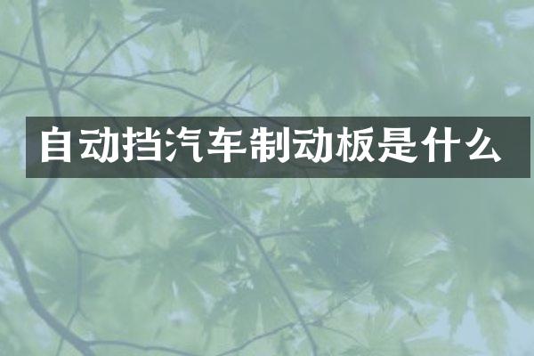 自动挡汽车制动板是什么