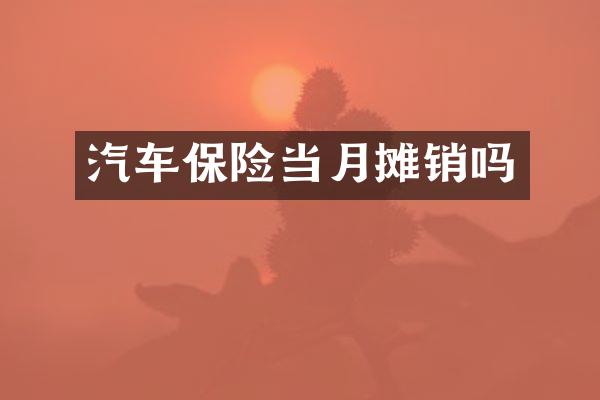 汽车保险当月摊销吗