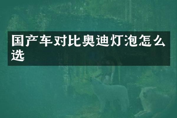 国产车对比奥迪灯泡怎么选