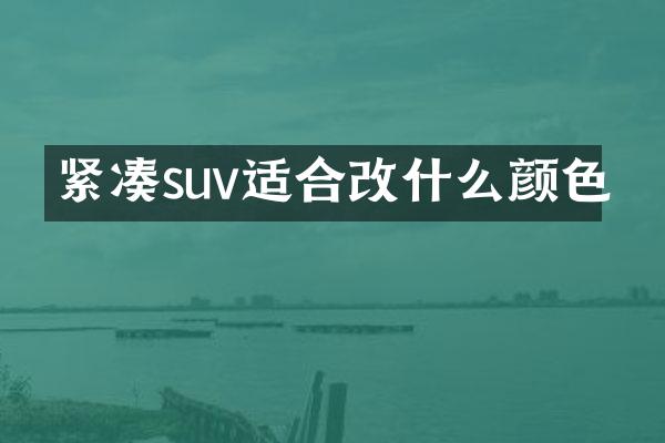 紧凑suv适合改什么颜色