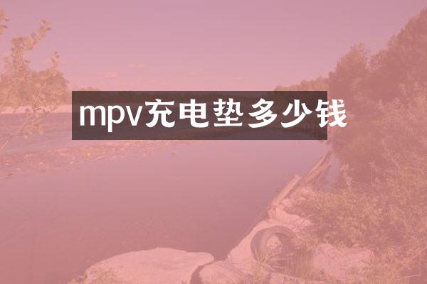 mpv充电垫多少钱