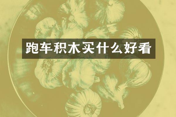 跑车积木买什么好看