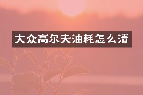 大众高尔夫油耗怎么清