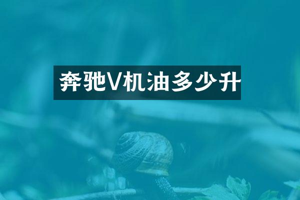 奔驰V机油多少升