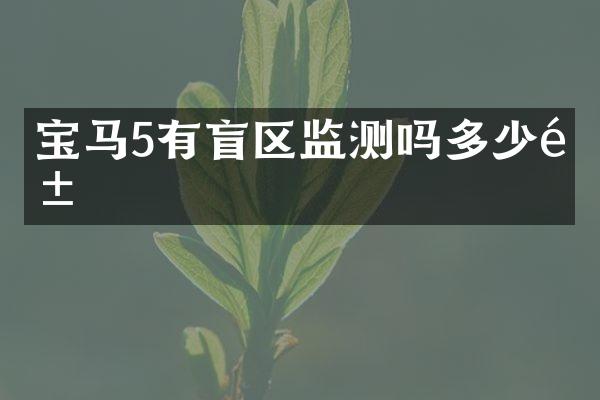 宝马5有盲区监测吗多少钱