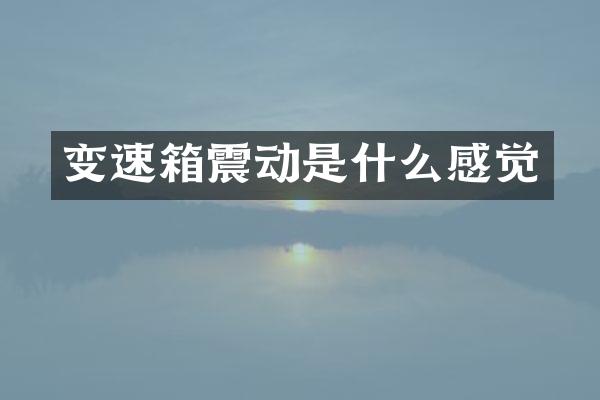 变速箱震动是什么感觉