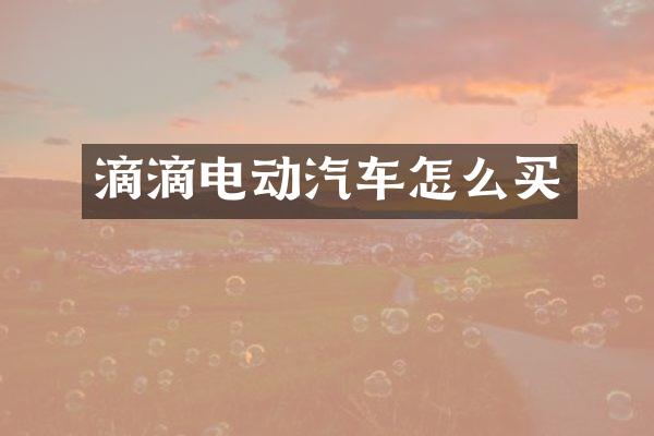 滴滴电动汽车怎么买