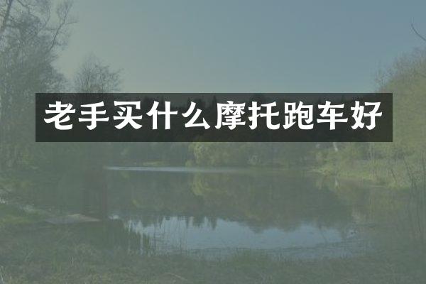 老手摩托跑车好