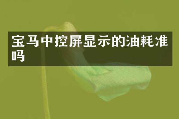 宝马中控屏显示的油耗准吗