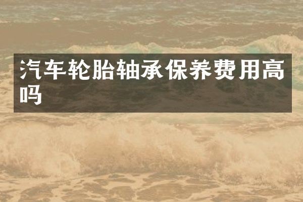 汽车轮胎轴承保养费用高吗