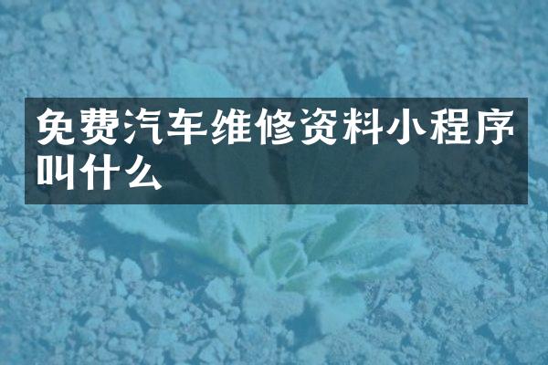 免费汽车维修资料小程序叫什么
