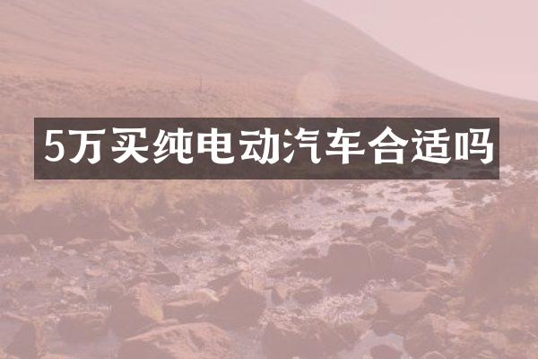 5万买纯电动汽车合适吗