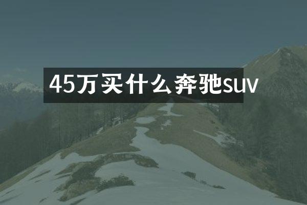 45万奔驰suv