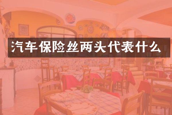 汽车保险丝两头代表什么