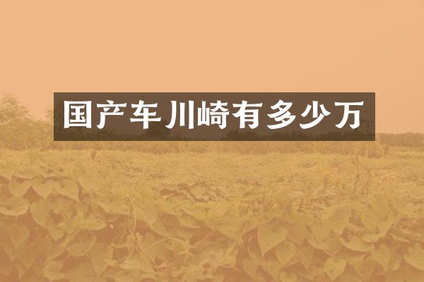 国产车川崎有多少万