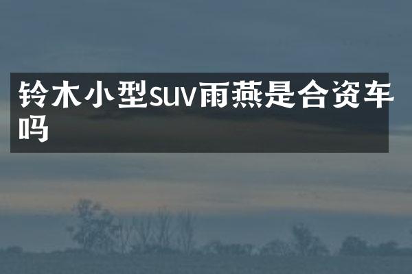 铃木小型suv雨燕是合资车吗