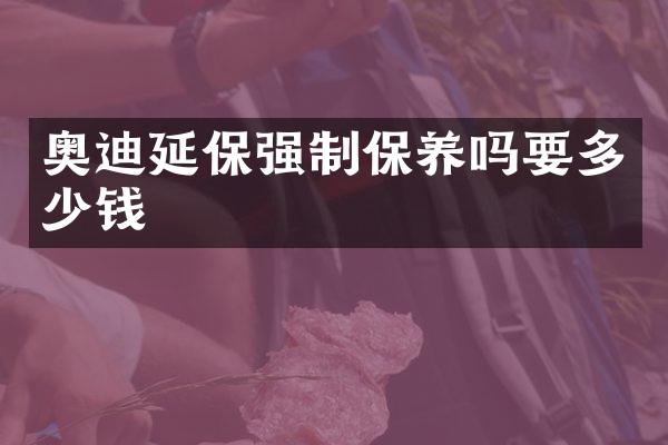 奥迪延保强制保养吗要多少钱