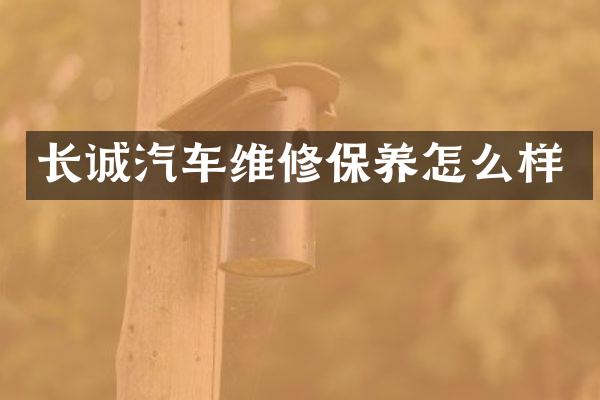 长诚汽车维修保养怎么样