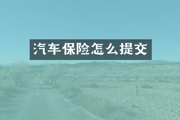 汽车保险怎么提交