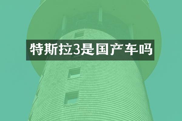 特斯拉3是国产车吗