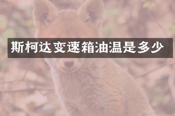 斯柯达变速箱油温是多少