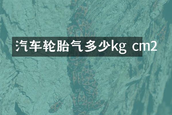 汽车轮胎气多少kg cm2