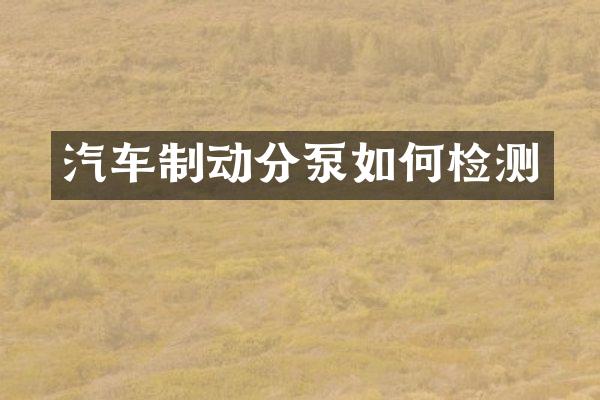 汽车制动分泵如何检测