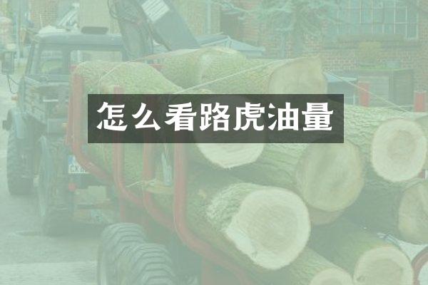 怎么看路虎油量