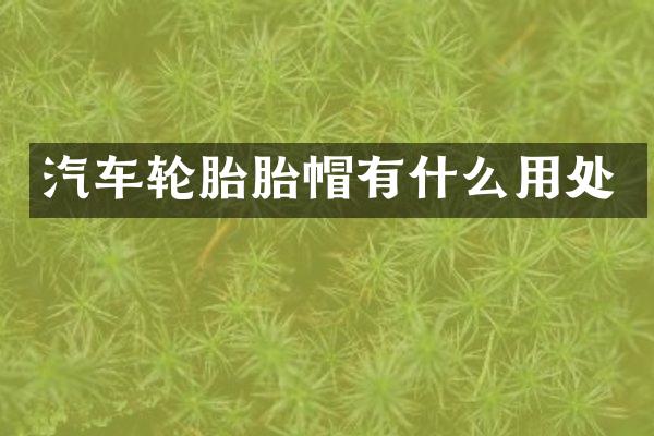 汽车轮胎胎帽有什么用处