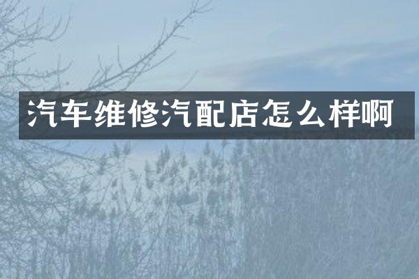汽车维修汽配店怎么样啊