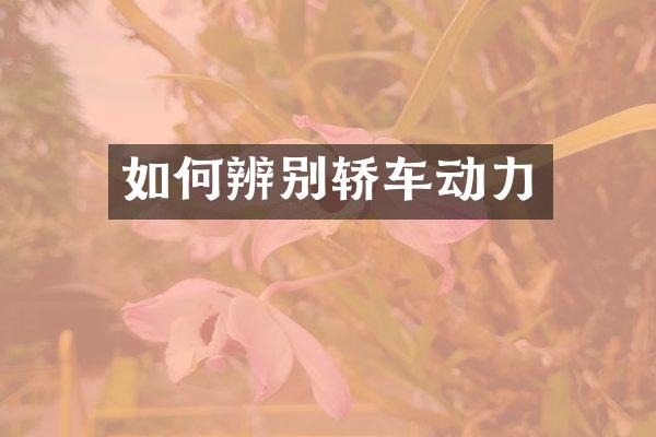 如何辨别轿车动力