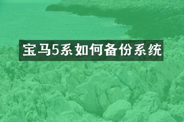 宝马5系如何备份系统