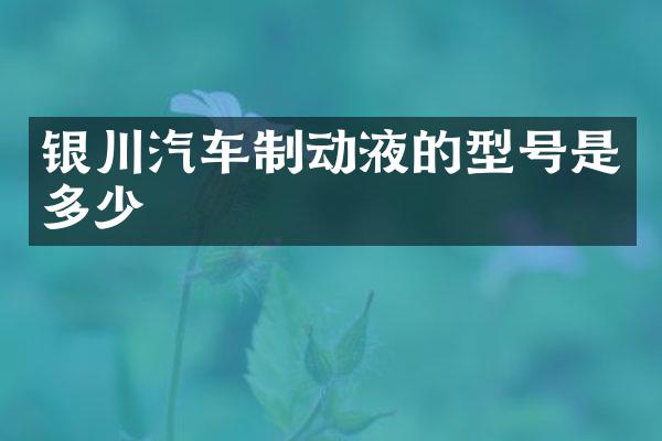 银川汽车制动液的型号是多少