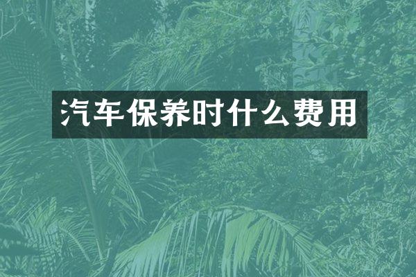 汽车保养时什么费用