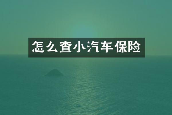 怎么查小汽车保险