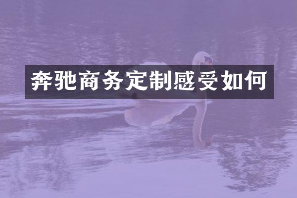 奔驰商务定制感受如何