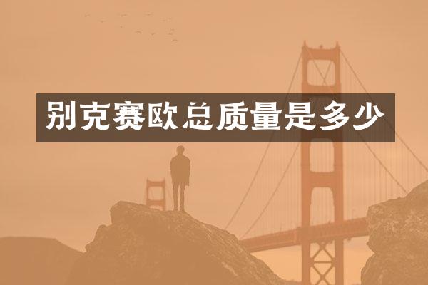 别克赛欧总质量是多少
