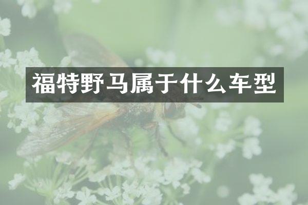 福特野马属于什么车型