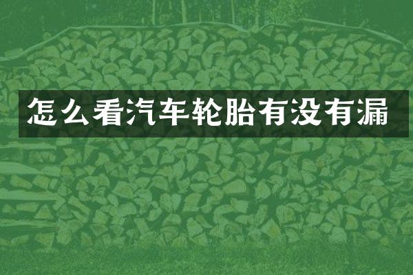 怎么看汽车轮胎有没有漏