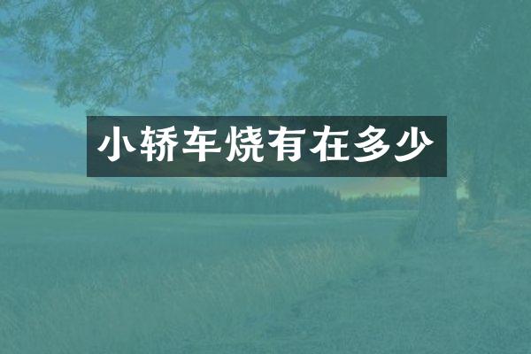 小轿车烧有在多少