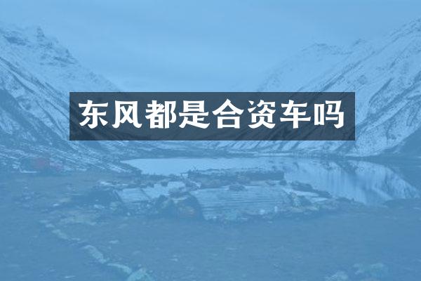 东风都是合资车吗