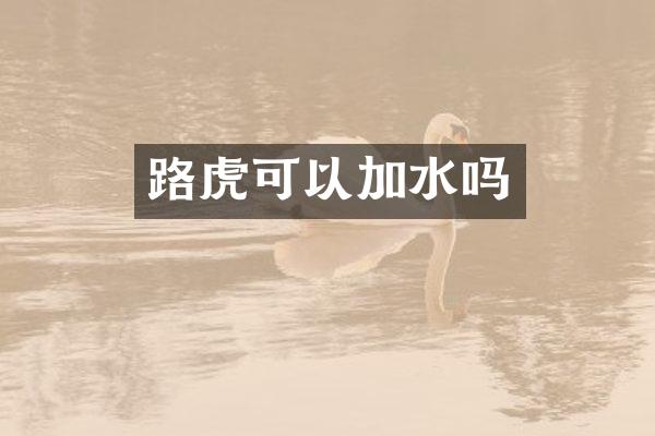 路虎可以加水吗