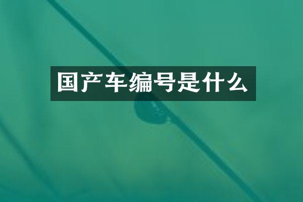 国产车编号是什么