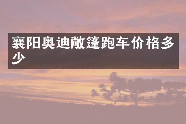 襄阳奥迪敞篷跑车价格多少